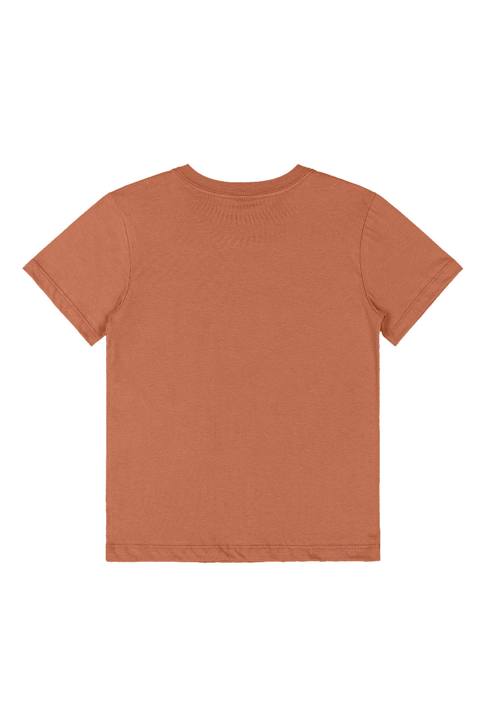 Conjunto Infantil com Camiseta e Bermuda Tropical (Marrom) Quimby - Imagem 40